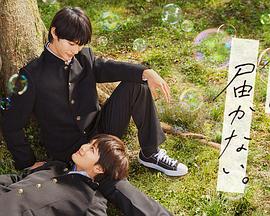 大型seo网站前端用什么框架